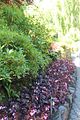 121 - Butchard Gardens  - IMG_1617